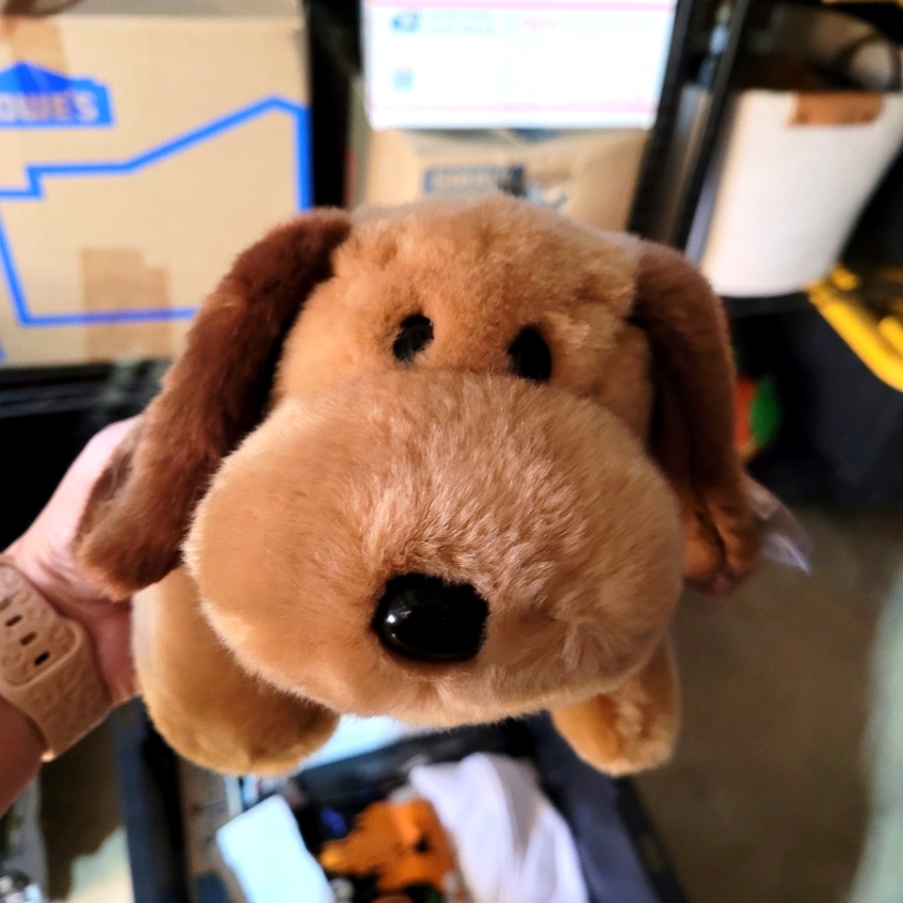 Ty Bones Beanie Buddy Stuffed Animal
